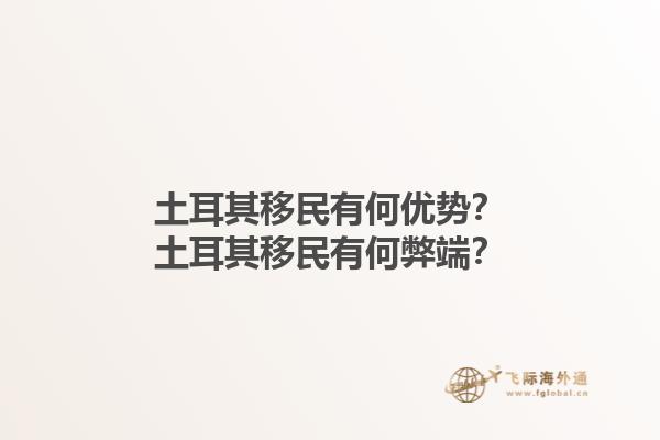 土耳其移民有何优势？土耳其移民有何弊端？