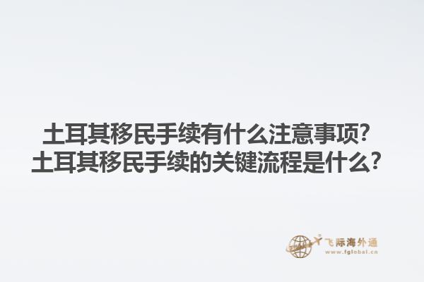 土耳其移民手续有什么注意事项？土耳其移民手续的关键流程是什么？1.jpg