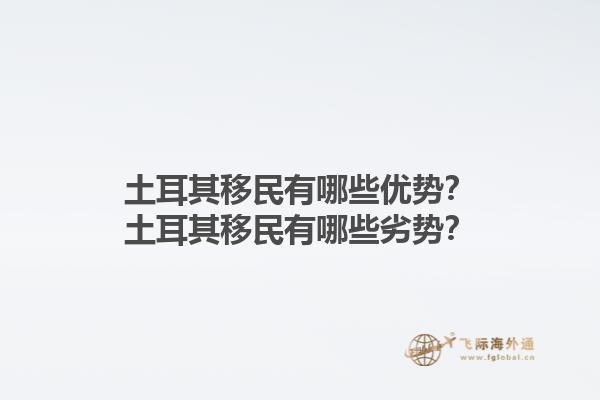 土耳其移民有哪些优势？土耳其移民有哪些劣势？1.jpg