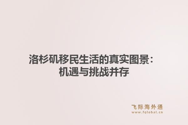 洛杉矶移民生活的真实图景：机遇与挑战并存1.jpg