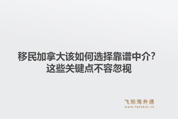 移民加拿大该如何选择靠谱中介？这些关键点不容忽视1.jpg