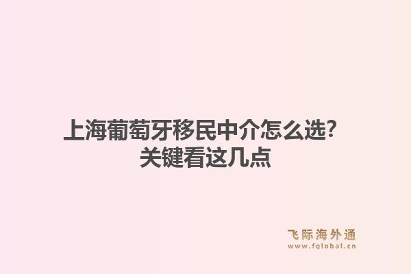 上海葡萄牙移民中介怎么选？关键看这几点1.jpg