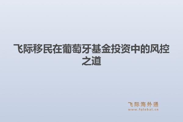 飞际移民在葡萄牙基金投资中的风控之道1.jpg