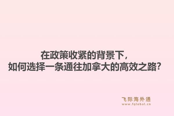 在政策收紧的背景下，如何选择一条通往加拿大的高效之路？1.jpg