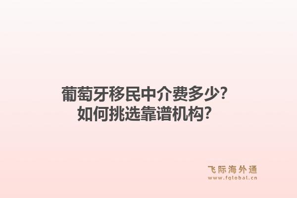 葡萄牙移民中介费多少?如何挑选靠谱机构?