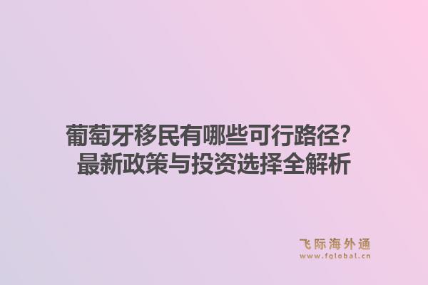 葡萄牙移民有哪些可行路径？最新政策与投资选择全解析