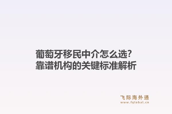 葡萄牙移民中介怎么选？靠谱机构的关键标准解析
