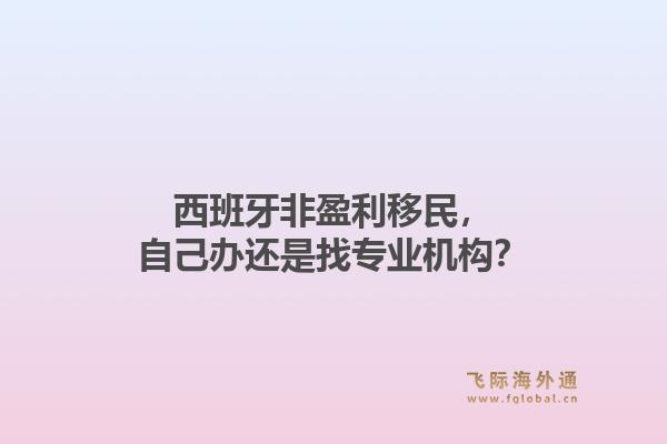 西班牙非盈利移民，自己办还是找专业机构？