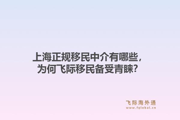 上海正规移民中介有哪些,为何飞际移民备受青睐?1.jpg