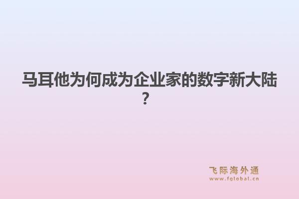 马耳他为何成为企业家的数字新大陆?1.jpg