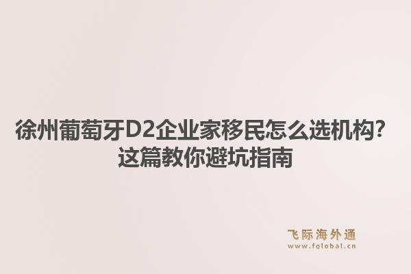徐州葡萄牙D2企业家移民怎么选机构？这篇教你避坑指南1.jpg