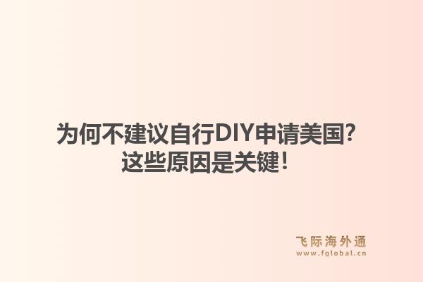 为何不建议自行DIY申请美国？这些原因是关键！1.jpg