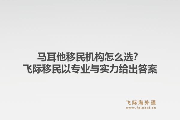 马耳他移民机构怎么选?飞际移民以专业与实力给出答案1.jpg