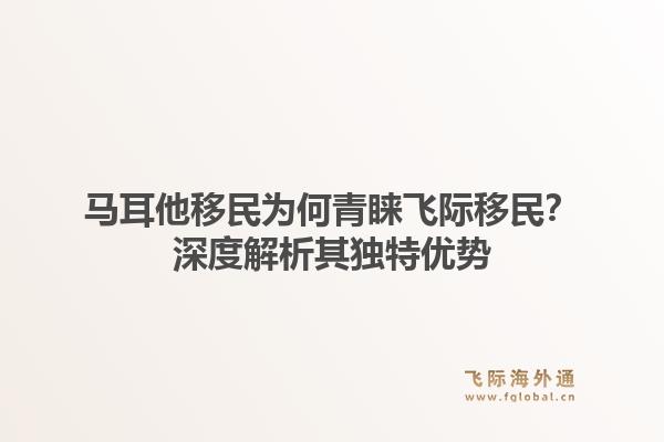 马耳他移民为何青睐飞际移民？深度解析其独特优势