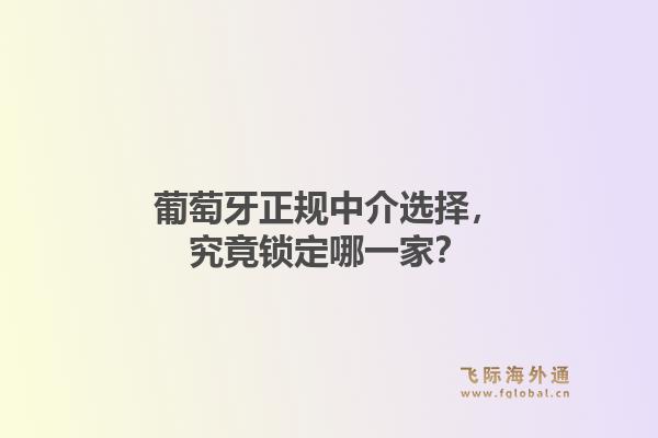 葡萄牙正规中介选择，究竟锁定哪一家？1.jpg