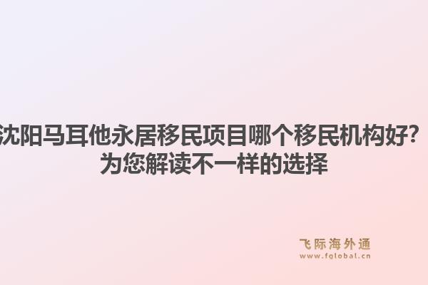 沈阳马耳他永居移民项目哪个移民机构好?为您解读不一样的选择1.jpg