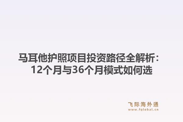 马耳他护照项目投资路径全解析:12个月与36个月模式如何选1.jpg