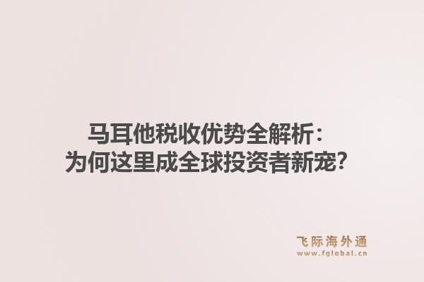 马耳他税收优势全解析：为何这里成全球投资者新宠？