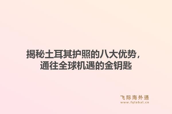 揭秘土耳其护照的八大优势，通往全球机遇的金钥匙