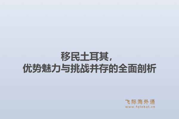 移民土耳其，优势魅力与挑战并存的全面剖析