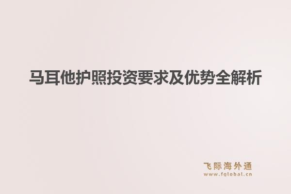 马耳他护照投资要求及优势全解析