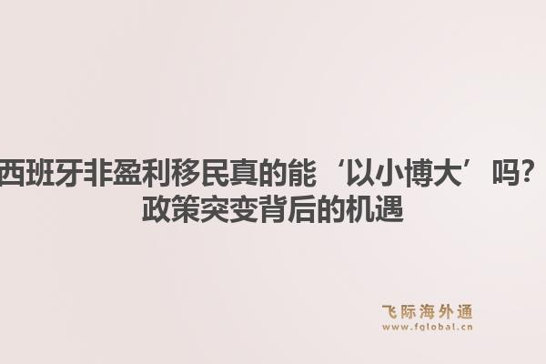 西班牙非盈利移民真的能‘以小博大’吗？政策突变背后的机遇