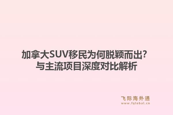 加拿大SUV移民为何脱颖而出？与主流项目深度对比解析
