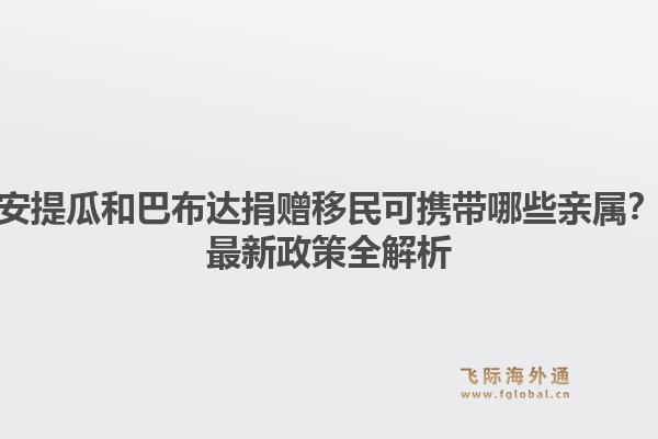 安提瓜和巴布达捐赠移民可携带哪些亲属？最新政策全解析