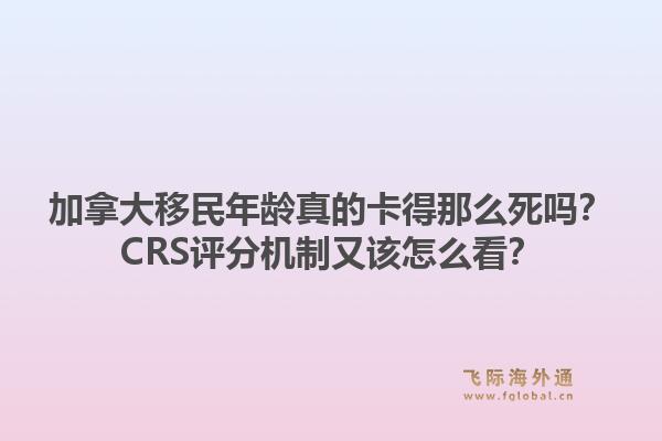 加拿大移民年龄真的卡得那么死吗？CRS评分机制又该怎么看？