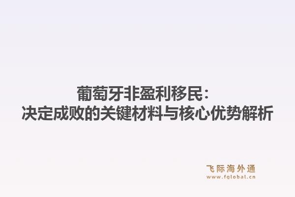 葡萄牙非盈利移民：决定成败的关键材料与核心优势解析