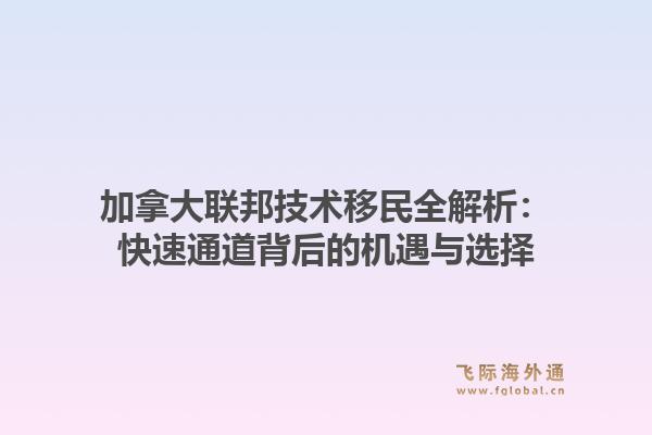 加拿大联邦技术移民全解析：快速通道背后的机遇与选择