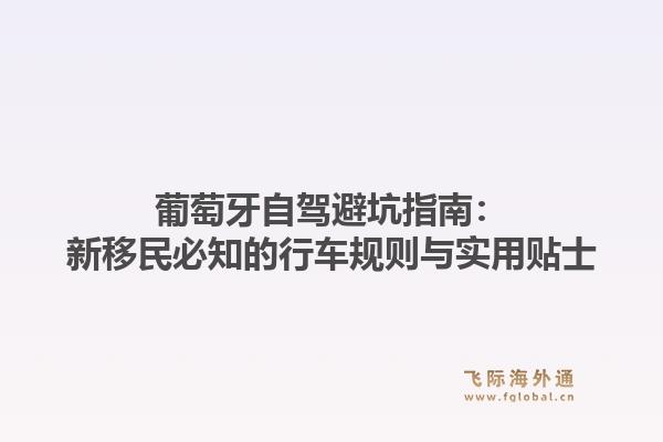 葡萄牙自驾避坑指南:新移民必知的行车规则与实用贴士1.jpg