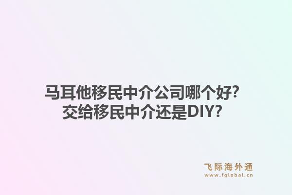马耳他移民中介公司哪个好?交给移民中介还是DIY?1.jpg
