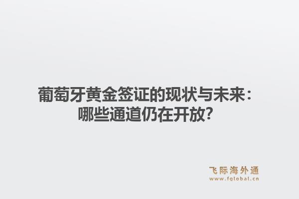 葡萄牙黄金签证的现状与未来：哪些通道仍在开放？