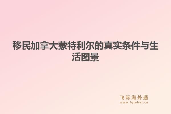 移民加拿大蒙特利尔的真实条件与生活图景