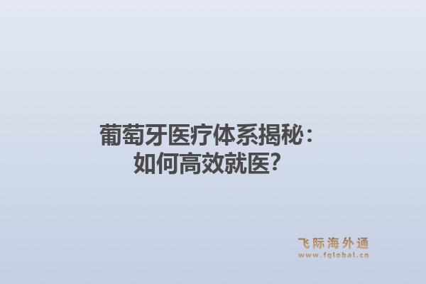 葡萄牙医疗体系揭秘：如何高效就医？