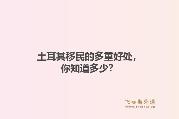 土耳其移民的多重好处，你知道多少？