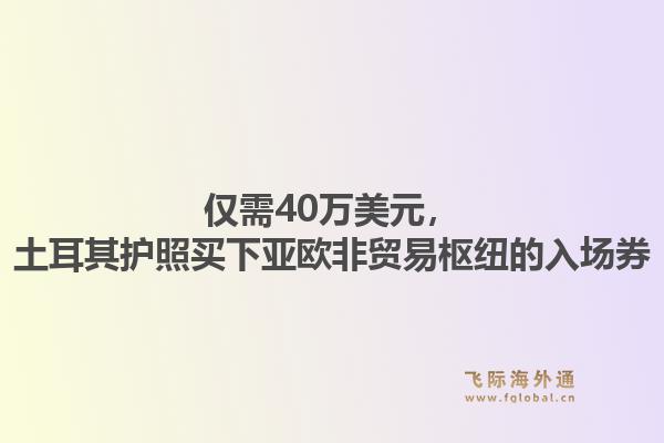 仅需40万美元,土耳其护照买下亚欧非贸易枢纽的入场券1.jpg