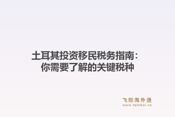 土耳其投资移民税务指南:你需要了解的关键税种1.jpg